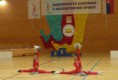 /album/msr-sabinov-2012/p1110194-jpg/