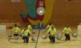 /album/msr-sabinov-2012/p1110197-jpg/